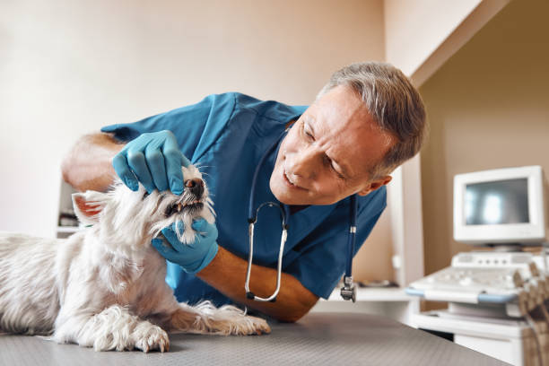 Best Emergency Tooth Extraction in Carrizozo, NM